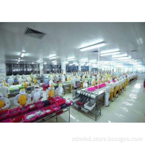 china fluorescent light tube